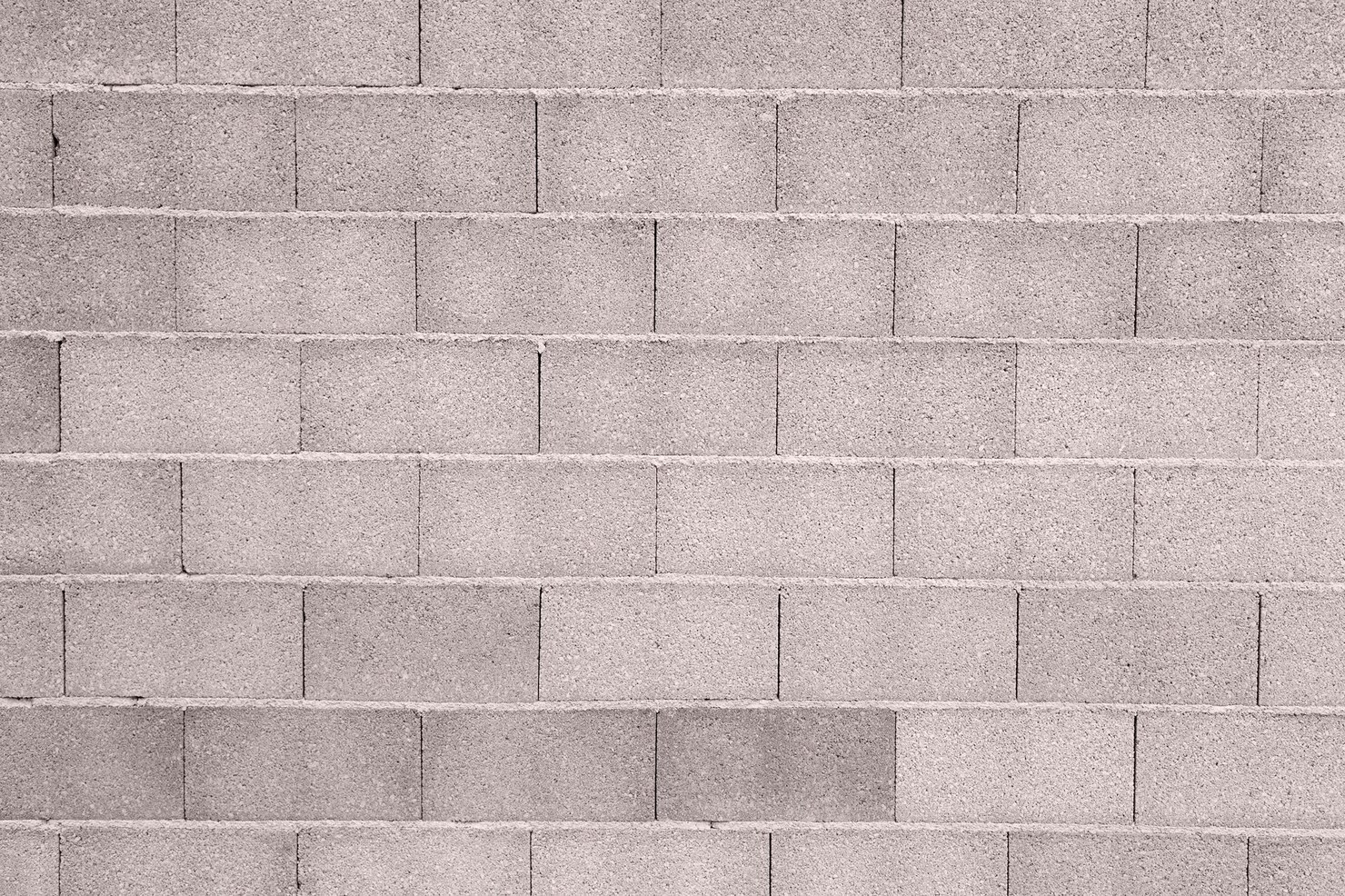 Why You Should Hire a Professional to Paint Your Cinder Block Walls in Arizona